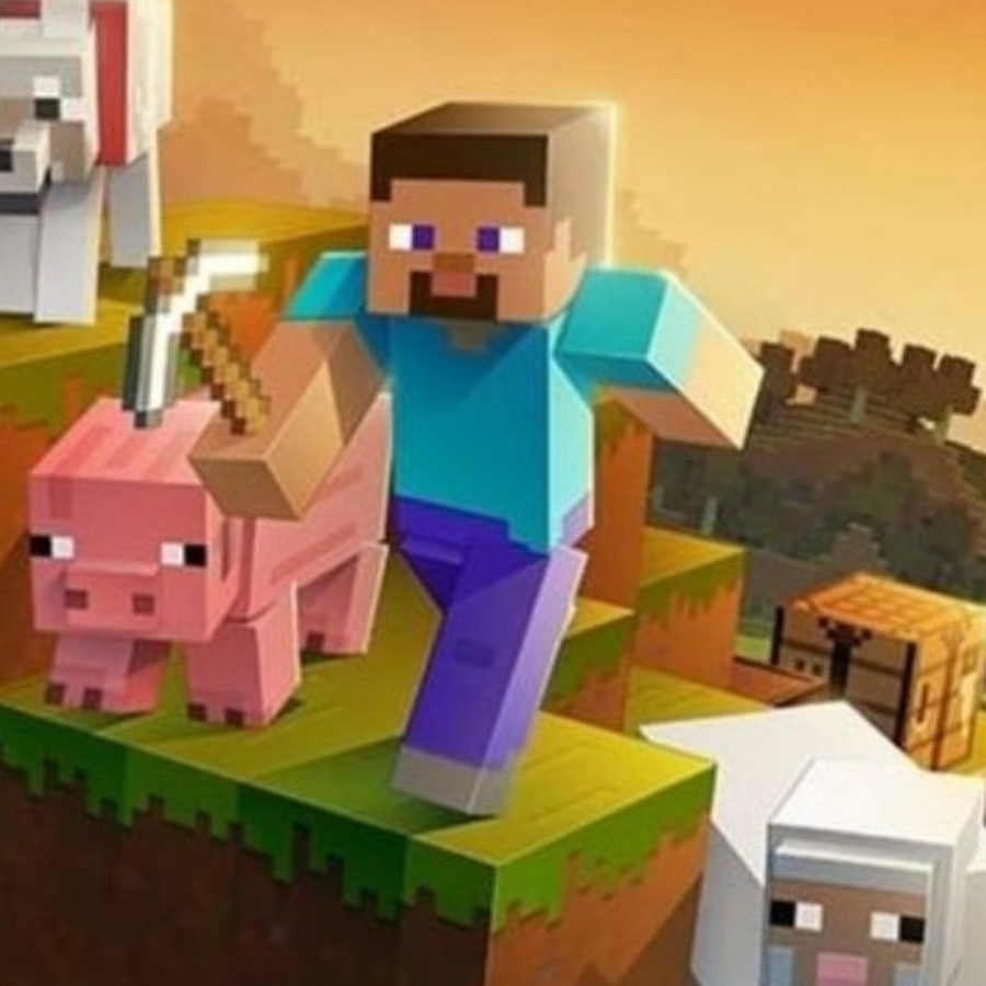 Imagen completa de Steve